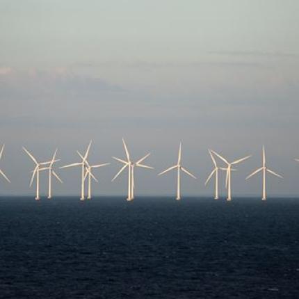 green project