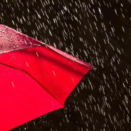 14505_rain.jpg
