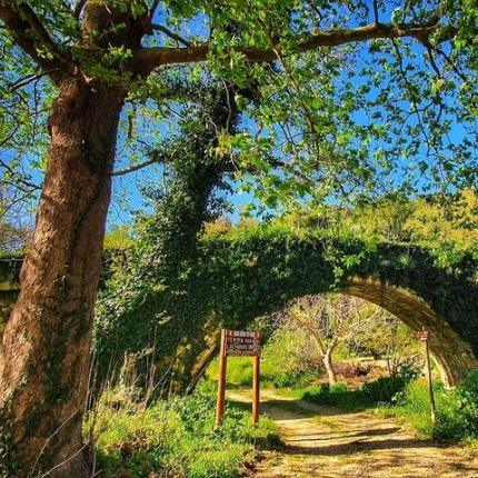 Η γέφυρα του Λαχανά - Φαράγγι του Ρίχτη (φωτογραφία Δρακάκης Γιάννης)