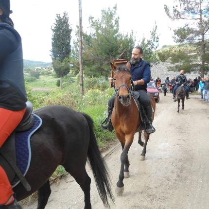 άλογα δρακουλιάρης 12