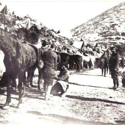 Τα άλογα του Ελληνικού Στρατού - Οι αγνοημένοι ήρωες των πολέμων