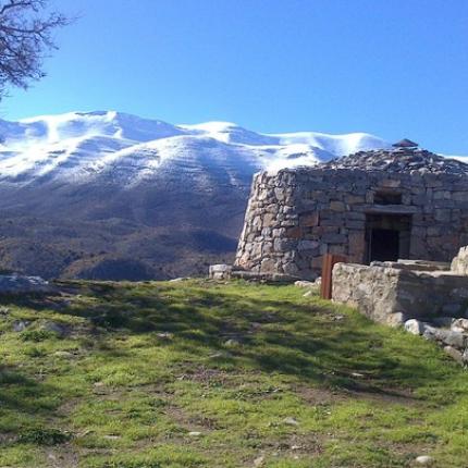 μιτάτο ψηλορείτης