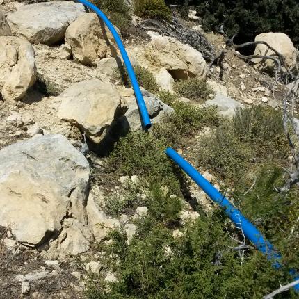 γαυδος λαστιχο