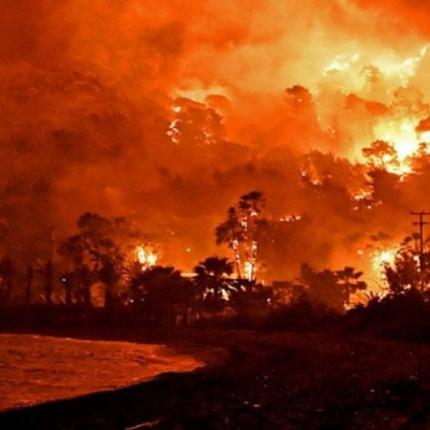 Πυρκαγιά - Βόρεια Εύβοια