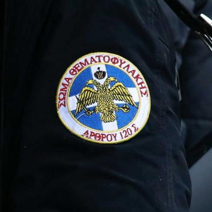θεματοφύλακες του συντάγματος