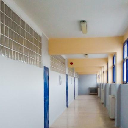 λύκειο τζερμιάδον