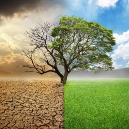 Κλιματική αλλαγή: Δραματική επιτάχυνση στην άνοδο της στάθμης των ωκεανών απειλεί τις ΗΠΑ