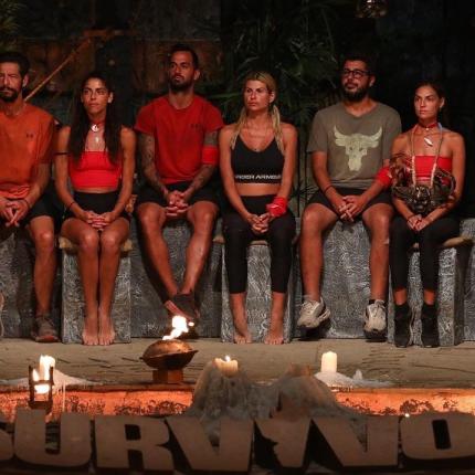 survivor