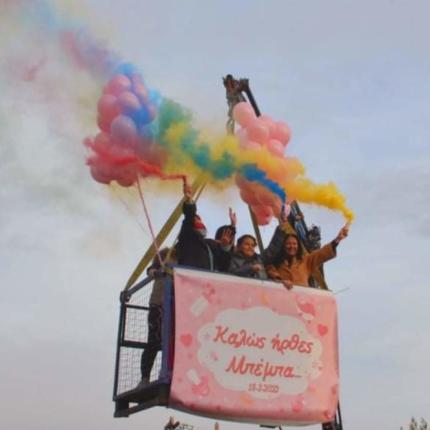 μωρό γερανός