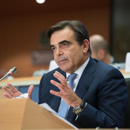 Μαργαρίτης σχοινας