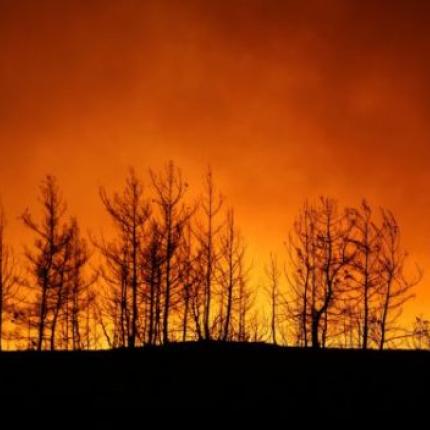 Τις φωτιές βάζει η Ελλάδα σε συνεργασία με το PKK 