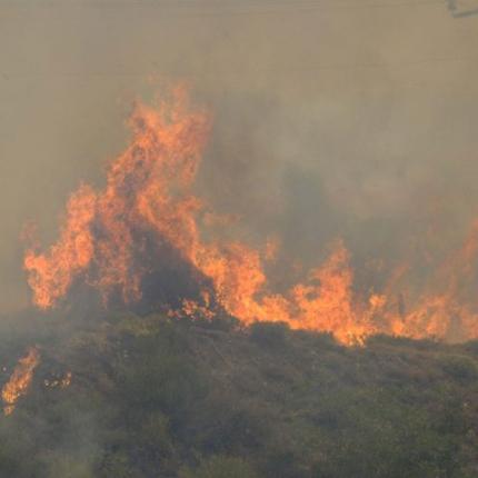 Φωτιά ξέσπασε στο Άγιον όρος 