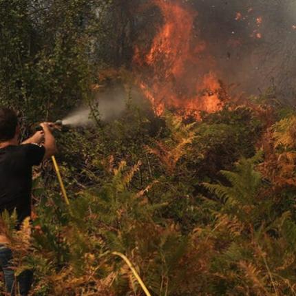 Πυρκαγιά ξέσπασε στο Κρεμαστό Ευβοίας 