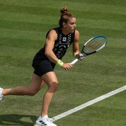 sakkari