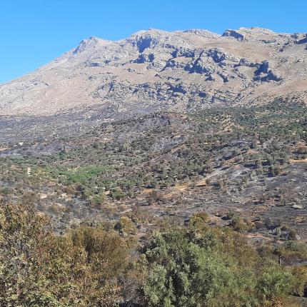 καμμένη γη