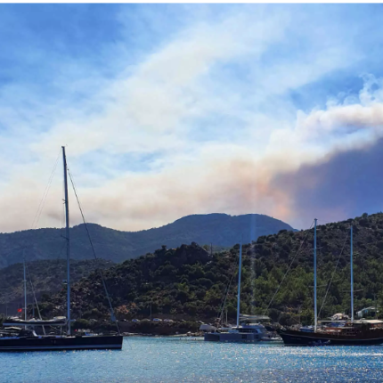 φωτια τουρκια