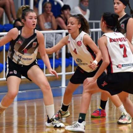 ΑΝΔΡΟΓΕΑΣ ΚΟΡΑΣΙΔΕΣ