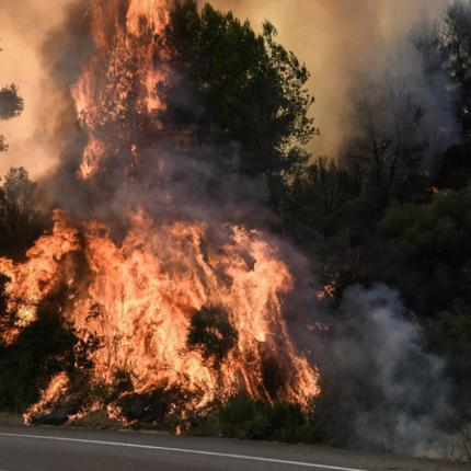 φωτια κρεστενα