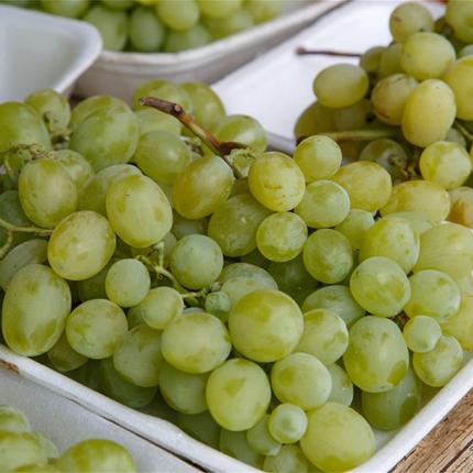 επιτραπέζια σταφύλια