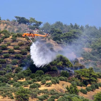 Φωτιά στη Βιάννο