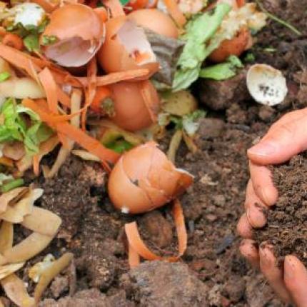 οικιακή κομποστοποίηση