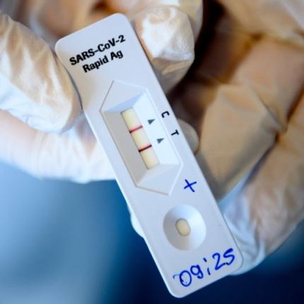 rapid-test