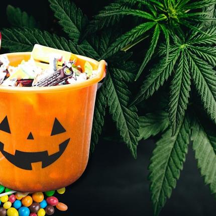 γλυκά απο κανναβη