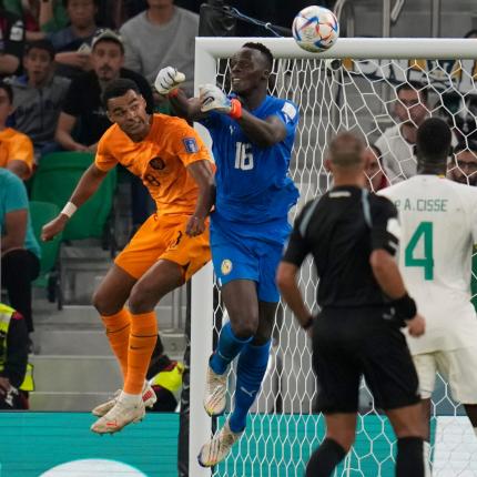 ολλανδια σενεγαλη