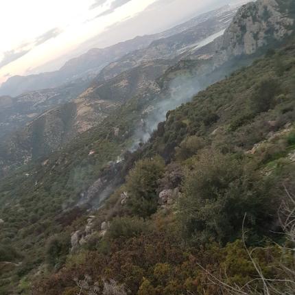 84χρονος που επιχείρησε να κάψει κλαδιά πίσω από τη μεγάλη φωτιά στην Καλαμαύκα