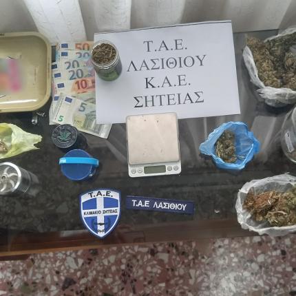 κάνναβη σητεία