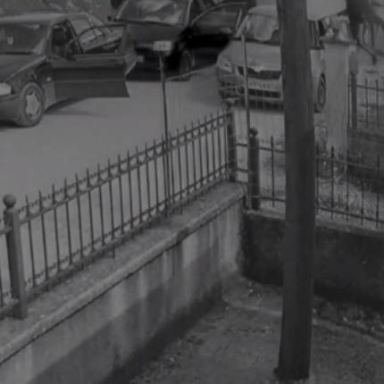 ΟΠΑΔΙΚΗ ΒΙΑ