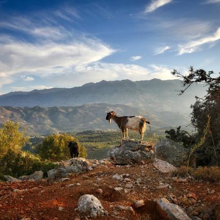 κρητη καιρός συννεφα κατσίκι