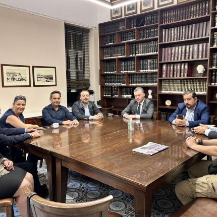 φραγκίσκος παρασύρης