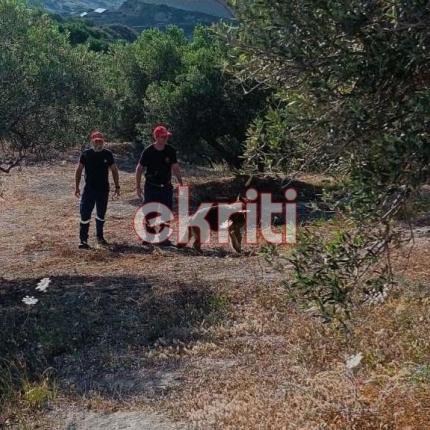 ερευνες - Αρχανες