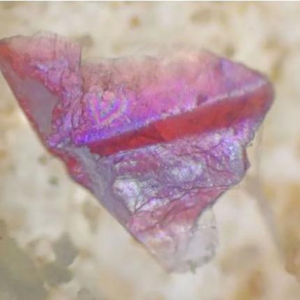 μικροπλαστικα