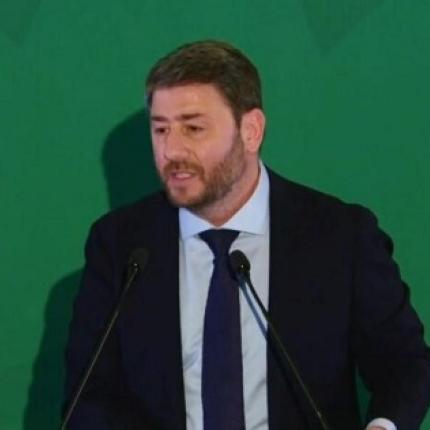 Νίκος Ανδρουλάκης