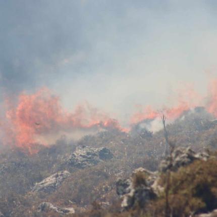 Νέα αναζωπύρωση στη Ρόδο