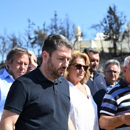 Νίκος Ανδρουλάκης