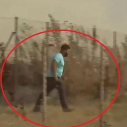 βοσκος, μαγνησια