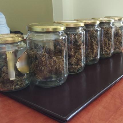 κάνναβη λασίθι