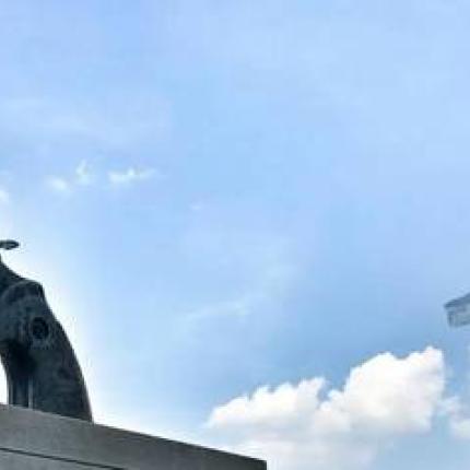 «Κομπό όπλο»