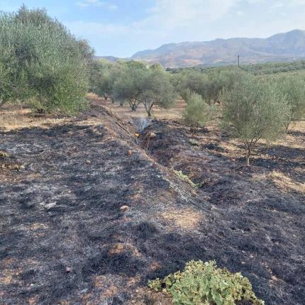 Συναγερμός στην Πυροσβεστική για φωτιά