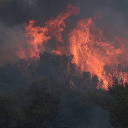 ΦΩΤΙΑ ΕΒΡΟΣ