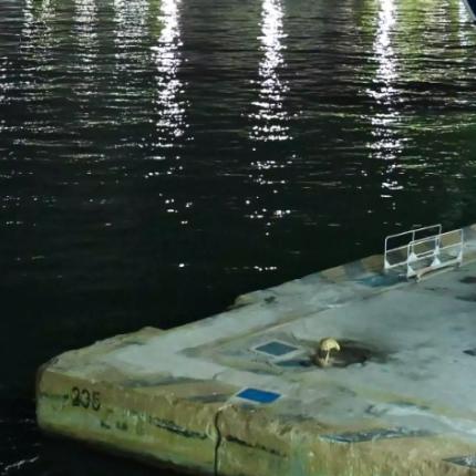 λιμανι πειραια