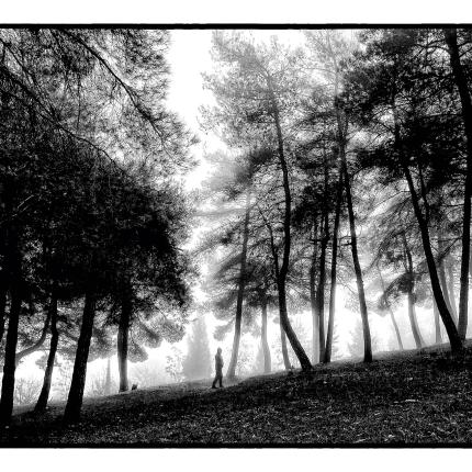 ΕΦΕ Ηρακλείου