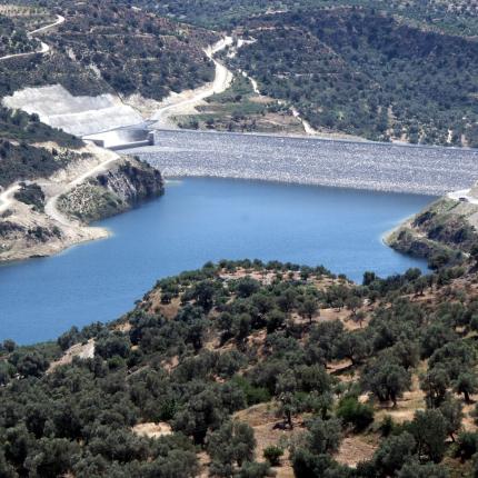 φράγμα φανερωμένης