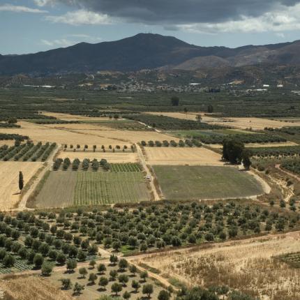 Μεσαρά