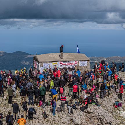 μικρός αφέντης