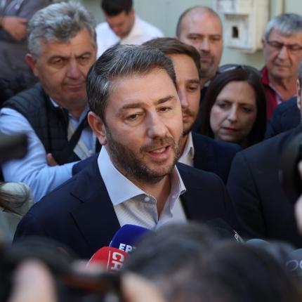 Νίκος Ανδρουλάκης 
