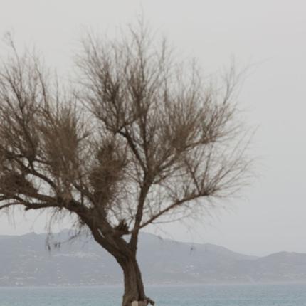 αφρικανική σκόνη